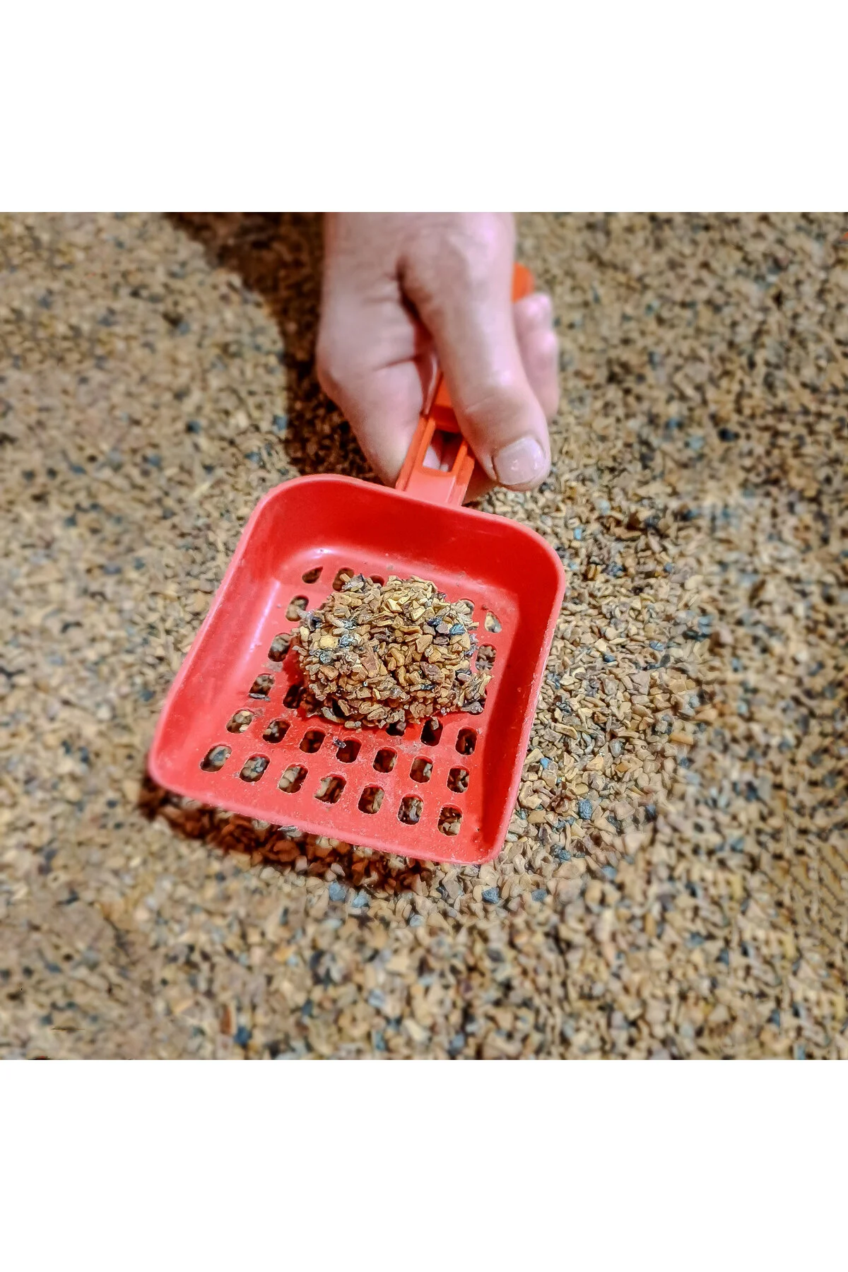 Cattus Naturalia Aktif Karbonlu Klasik Ceviz Kabuğundan Yapılmış Doğal Kedi Kumu 3'lü; %100 Organik, Tozsuz, Kokusuz