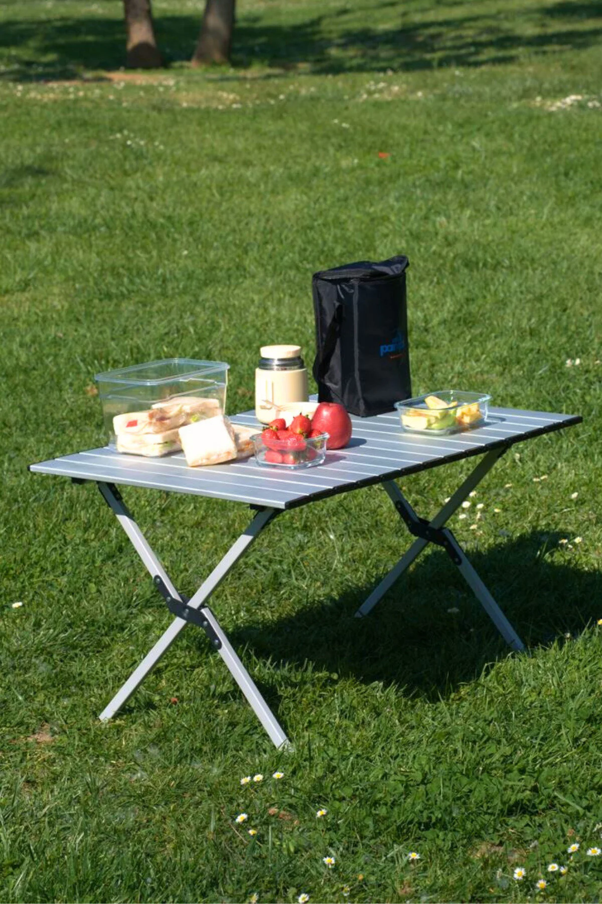 Panipal Outdoor Alüminyum, Katlanabilir Kamp ve Piknik Masası, Omuz Askılı Taşıma Çantasıyla L
