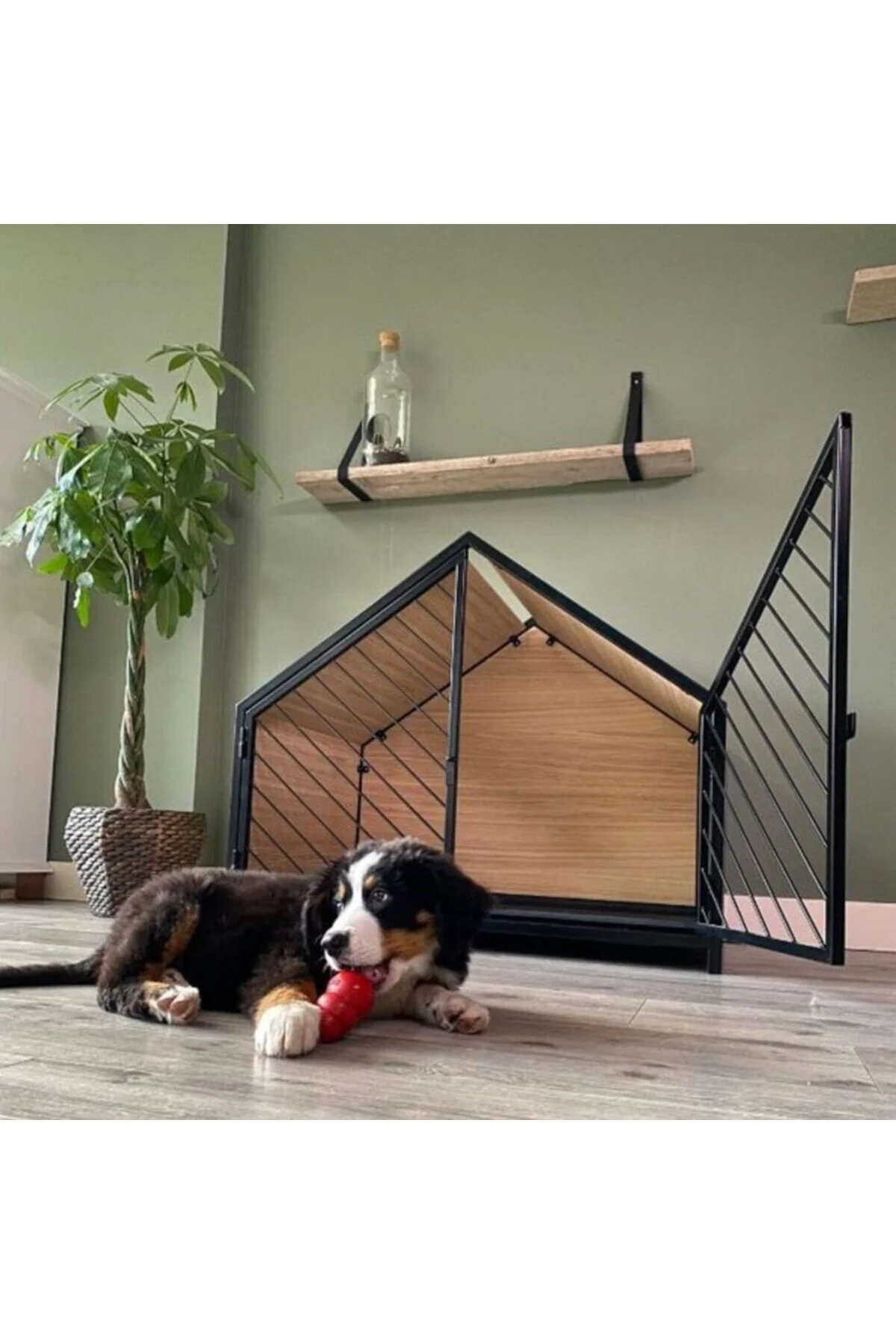 andekor Hayvan Evi | Sevimli Dost Kulübesi | Ev Tipi Köpek Kulübesi