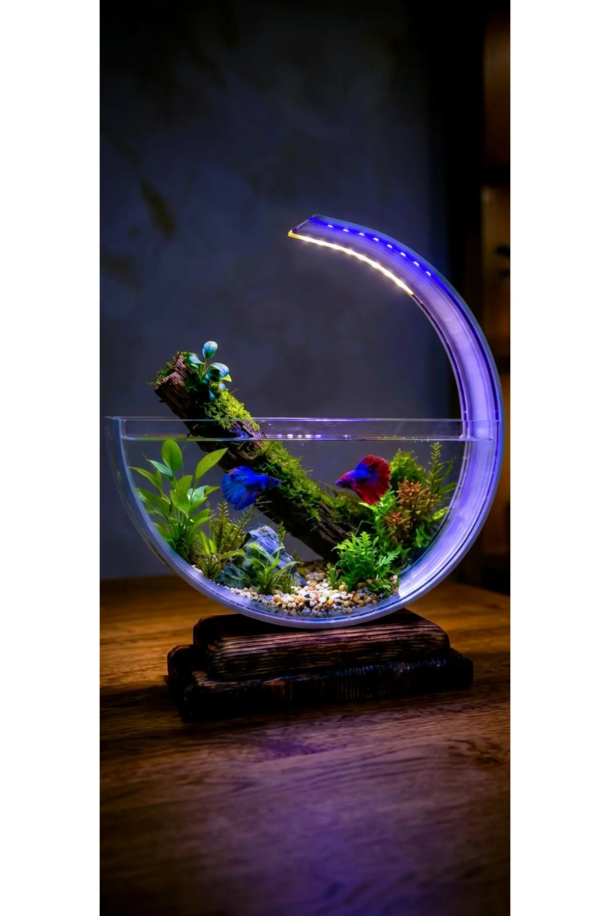 Berliva Home Wooden Aquarium Ahşap Tabanlı Hilal Akvaryum - LED Işıklı Özel Tasarım Betta Fanusu
