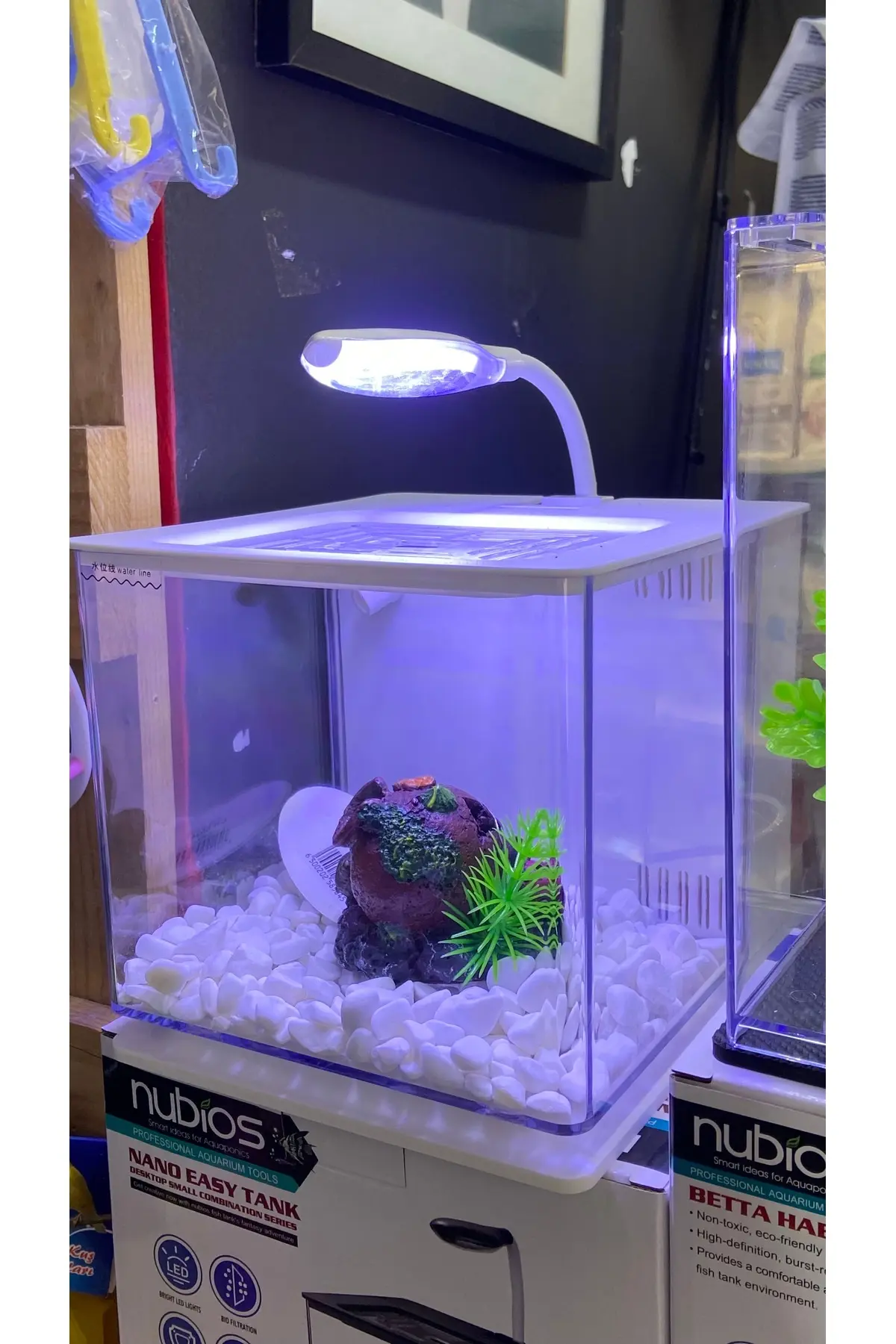 Fauna Pet Supplies Beta Tetra Lepistes Japon Balıkları Için Mini Akvaryum (Beyaz/Siyah/Mavi)