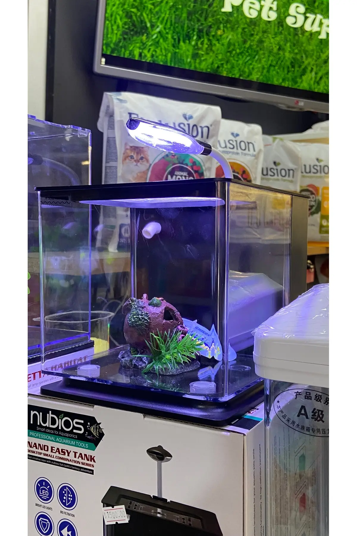 Fauna Pet Supplies Beta Tetra Lepistes Japon Balıkları Için Mini Akvaryum (Beyaz/Siyah/Mavi)