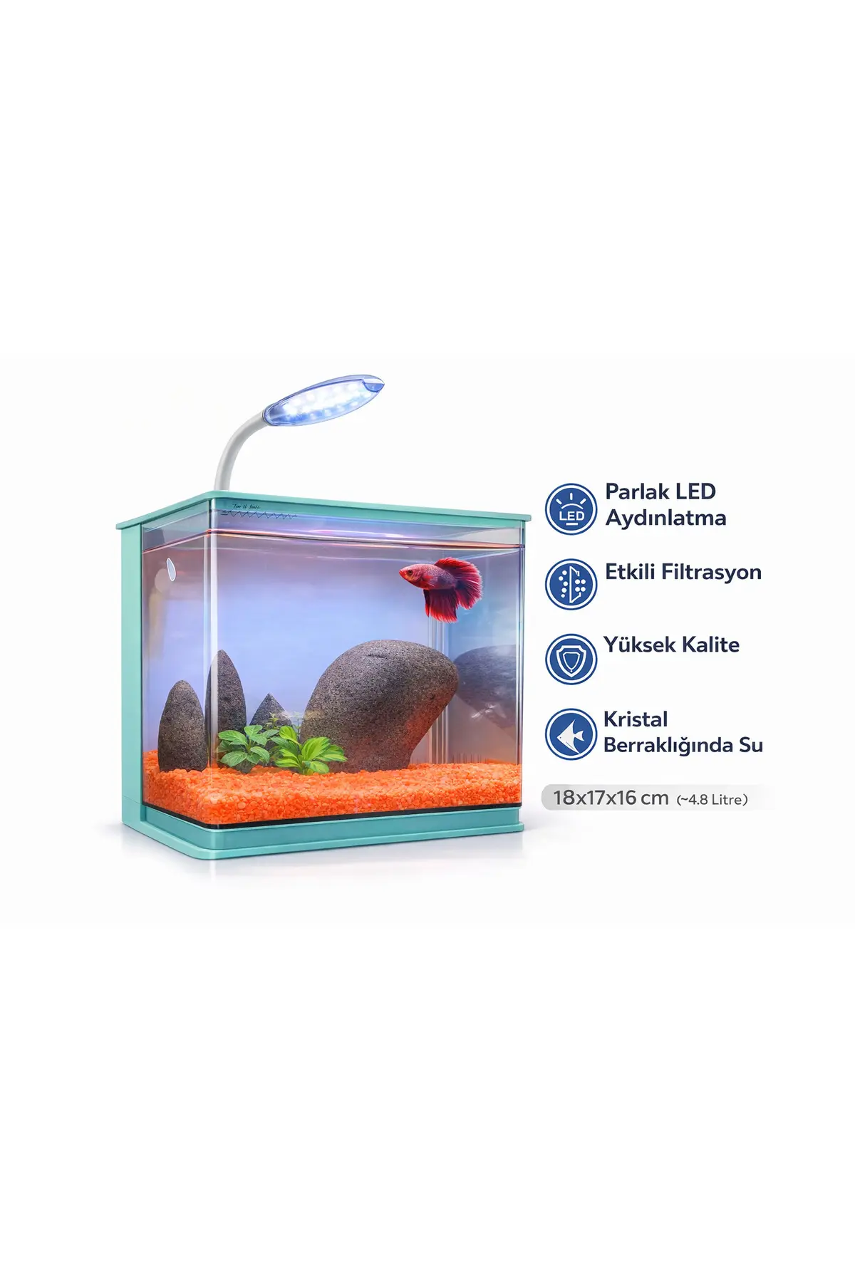 Fauna Pet Supplies Beta Tetra Lepistes Japon Balıkları Için Mini Akvaryum (Beyaz/Siyah/Mavi)
