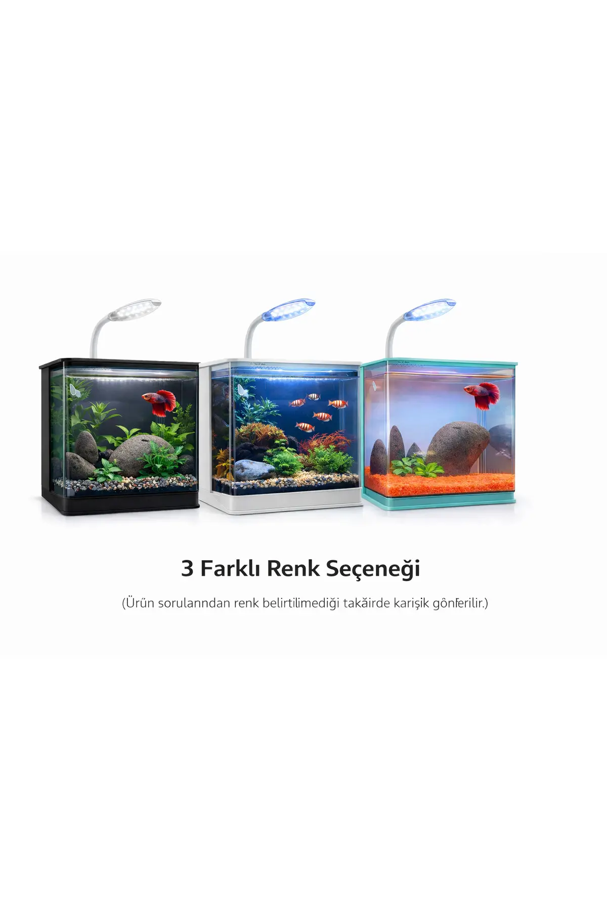 Fauna Pet Supplies Beta Tetra Lepistes Japon Balıkları Için Mini Akvaryum (Beyaz/Siyah/Mavi)