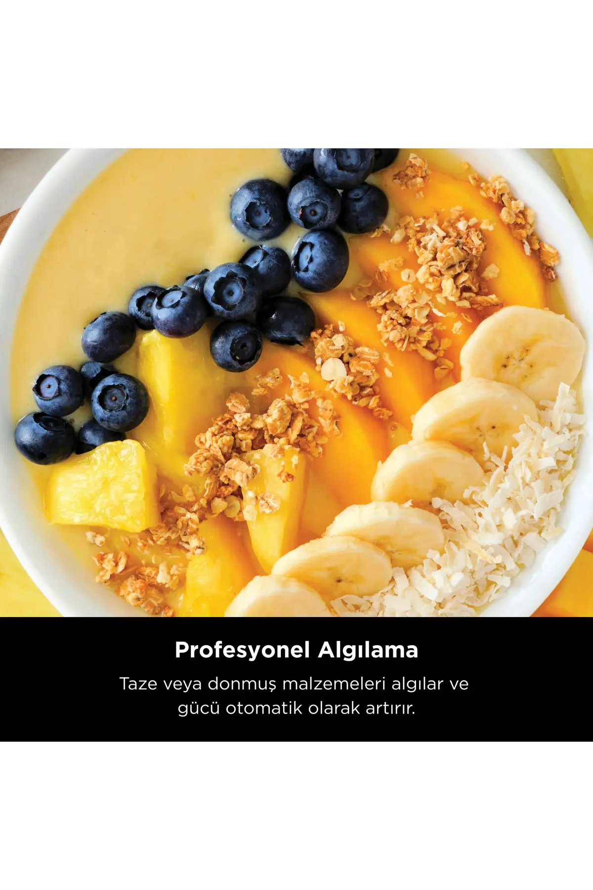 NINJA Ninja Detect Pro Blender