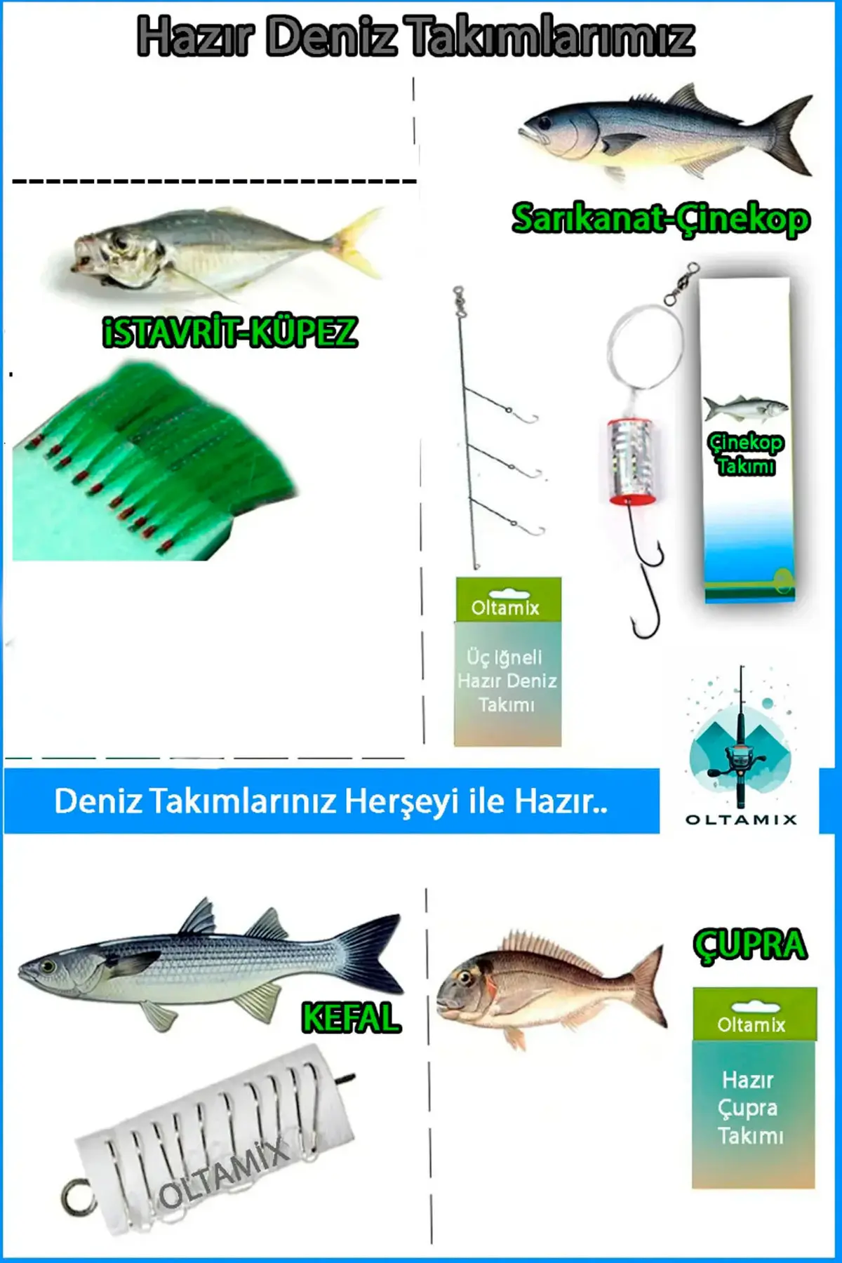 OLTAMİX Profosyonel Deniz Ve Göl Olta Takım FULL SET 200 TL DEĞERİNDE "BALIK ALARMI HEDİYELİ" 100-250gr 100-250 AKSİYON KARBON ALAŞIMLI TELESKOPİK KAMIŞ Bauer Riona 4000 4+1 Bilyalı