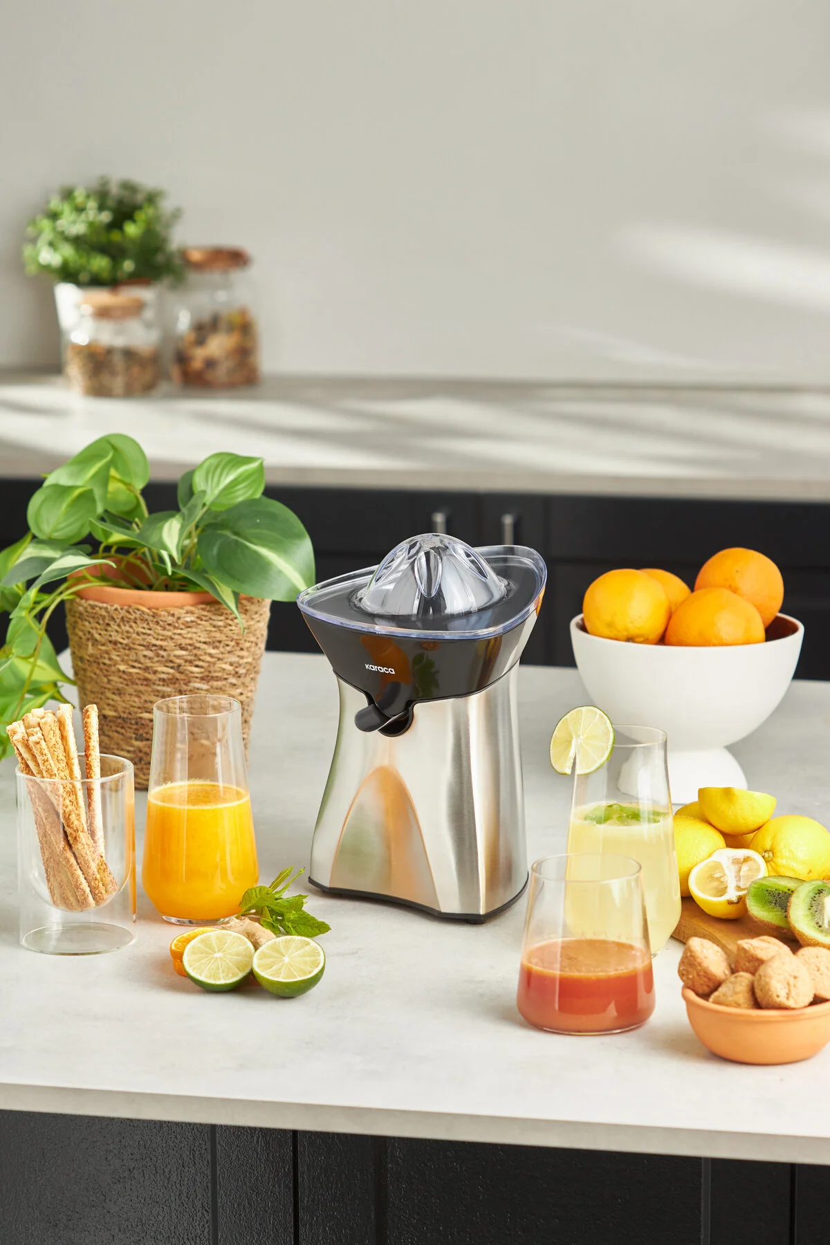 Karaca Freshmix Inox Narenciye Sıkacağı 601