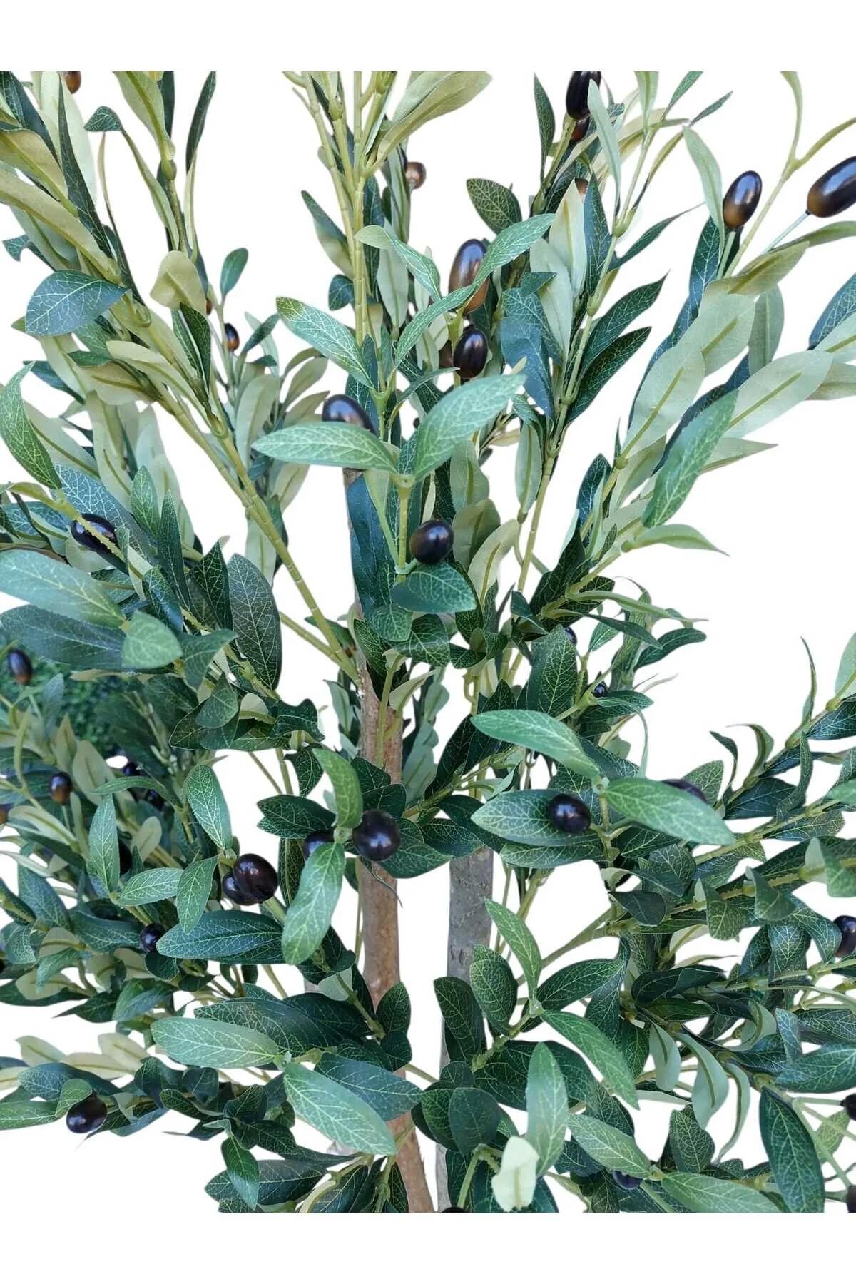 MAKİ DEKOR Yapay Zeytin 150 Cm Boyunda 3 Gövdeli Dekoratif Salon Ofis Ağacı