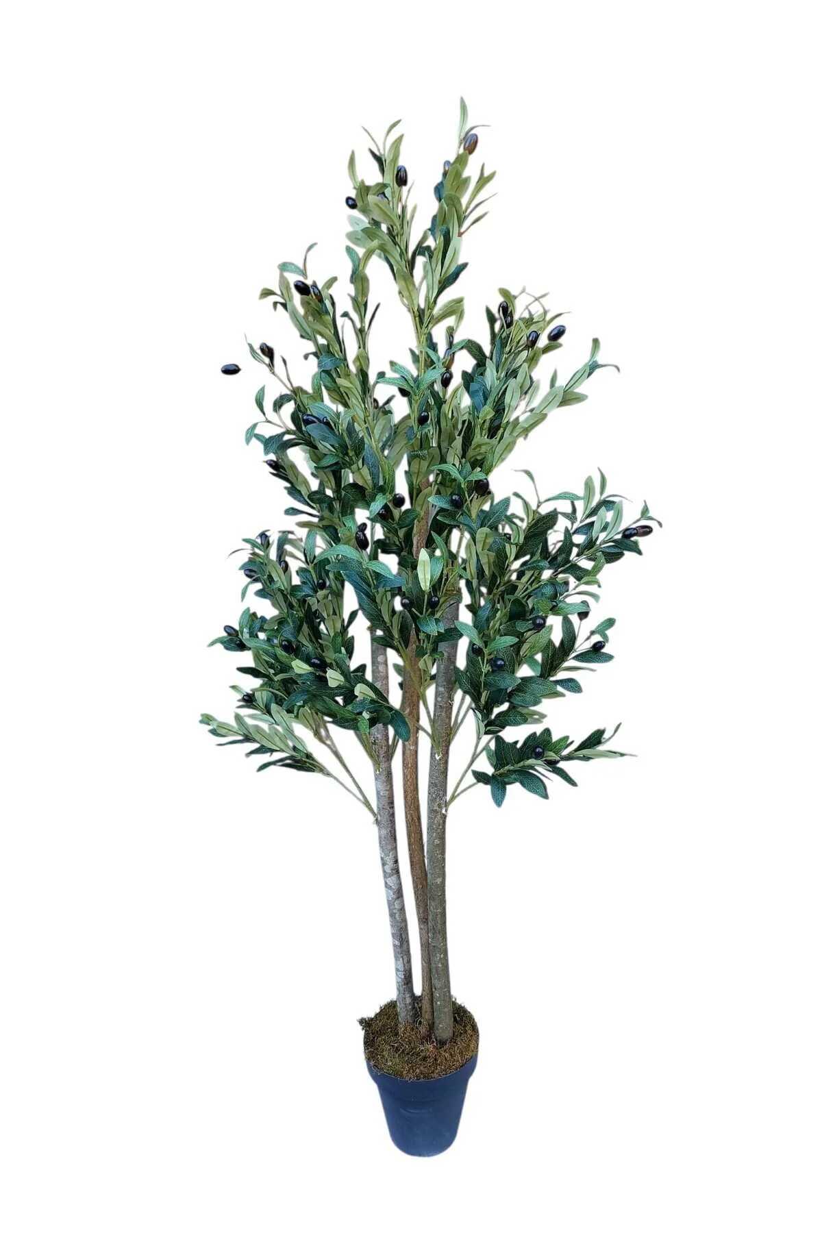 MAKİ DEKOR Yapay Zeytin 150 Cm Boyunda 3 Gövdeli Dekoratif Salon Ofis Ağacı