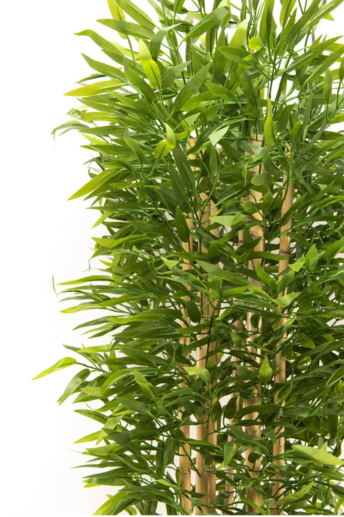 YAPAY ÇİÇEKÇİNİZ 7 Gövdeli Yoğun Yapraklı 180 Cm Lüks Yapay Bambu Ağacı