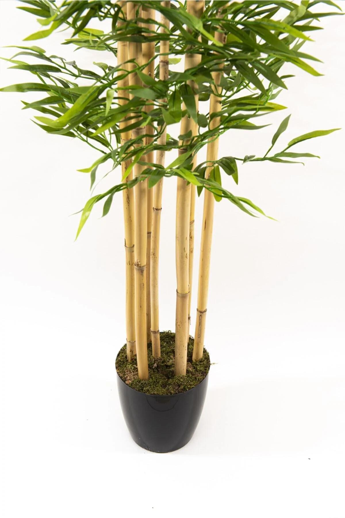YAPAY ÇİÇEKÇİNİZ 7 Gövdeli Yoğun Yapraklı 180 Cm Lüks Yapay Bambu Ağacı