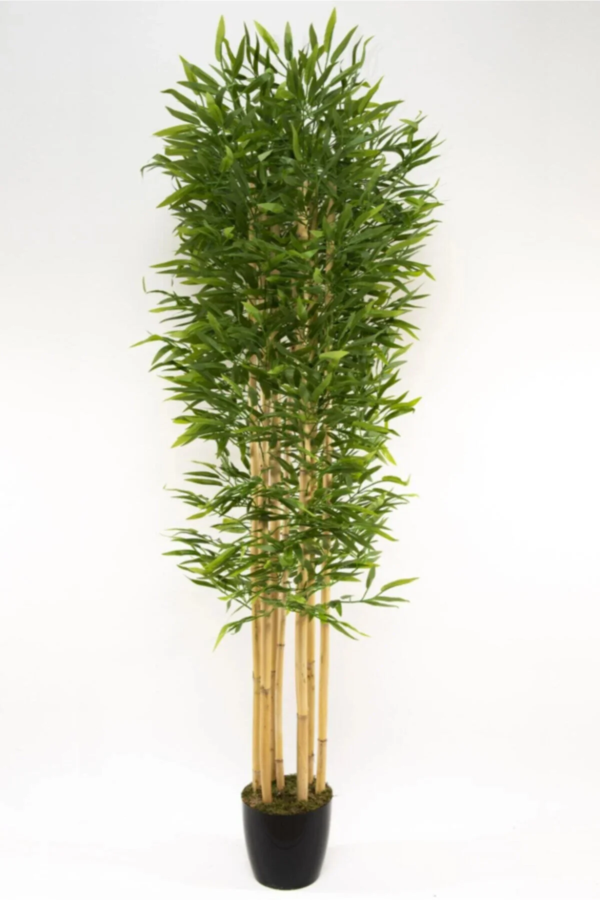 YAPAY ÇİÇEKÇİNİZ 7 Gövdeli Yoğun Yapraklı 180 Cm Lüks Yapay Bambu Ağacı