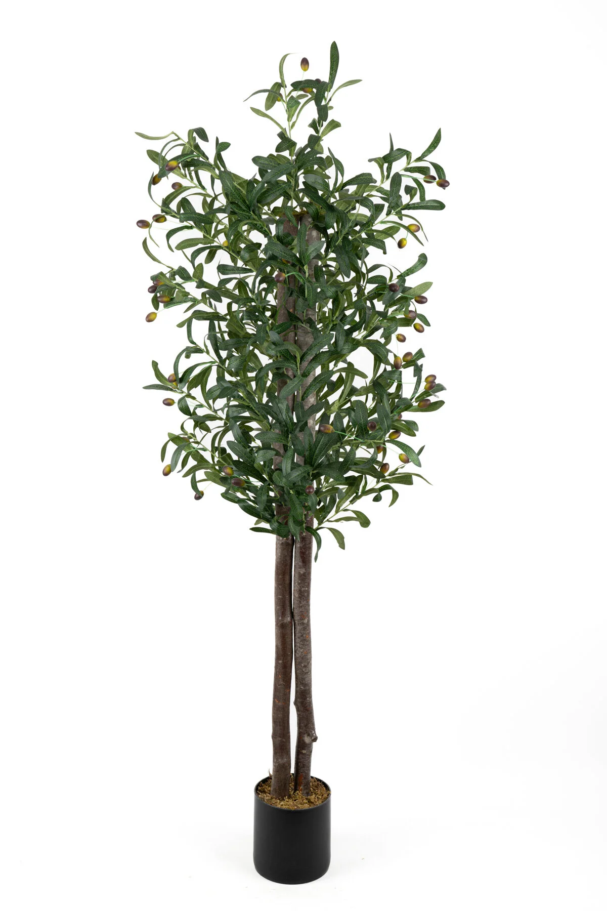 YAPAY ÇİÇEKÇİNİZ Siyah Renkli Saksı Gerçek Gövdeli 150 cm Yapay Zeytin Ağacı