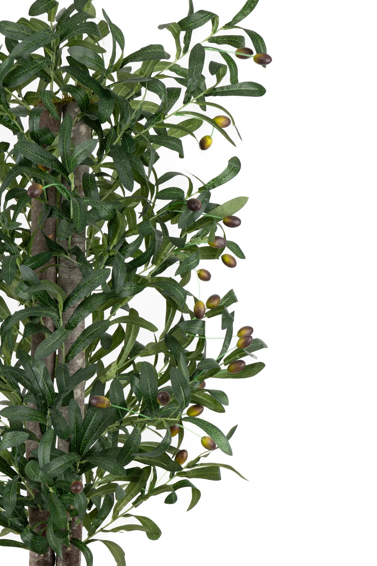 YAPAY ÇİÇEKÇİNİZ Siyah Renkli Saksı Gerçek Gövdeli 150 cm Yapay Zeytin Ağacı