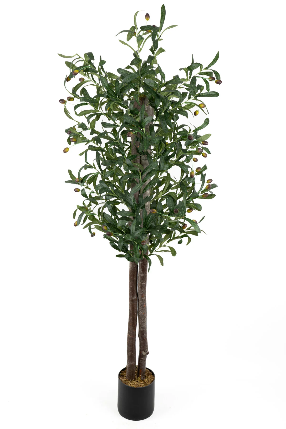 YAPAY ÇİÇEKÇİNİZ Siyah Renkli Saksı Gerçek Gövdeli 150 cm Yapay Zeytin Ağacı