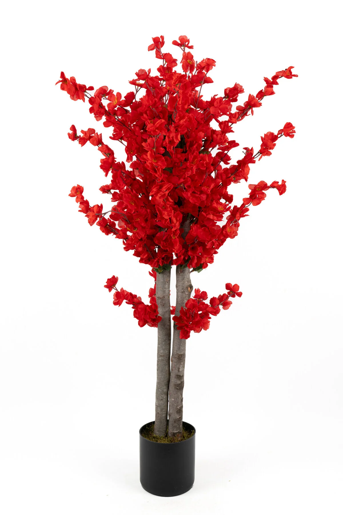 YAPAY ÇİÇEKÇİNİZ 120 Cm Beyaz Bahardalı Ağacı